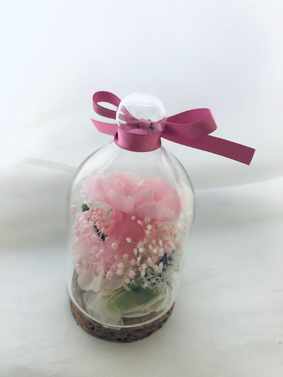 プリザーブドフラワー桜色のカーネーションミニガラスドーム 4枚目の画像