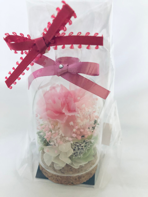 プリザーブドフラワー桜色のカーネーションミニガラスドーム 6枚目の画像