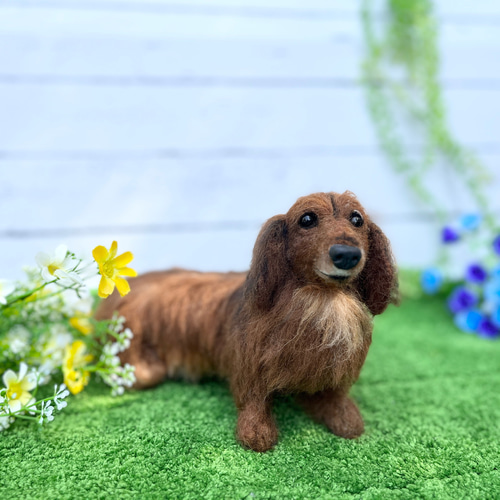 オーダー♡世界でたった一つ♡大切な家族をずっとそばに♡ダックス