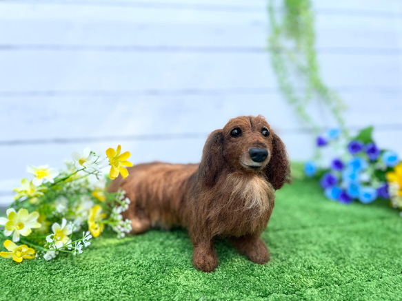 オーダー♡世界でたった一つ♡大切な家族をずっとそばに♡ダックス♡再現　羊毛フェルト 2枚目の画像