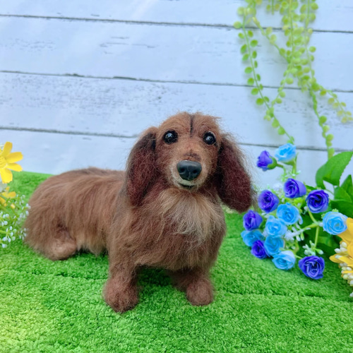 オーダー ダックス世界でたった一つ♡ダックスフンド♡再現 羊毛