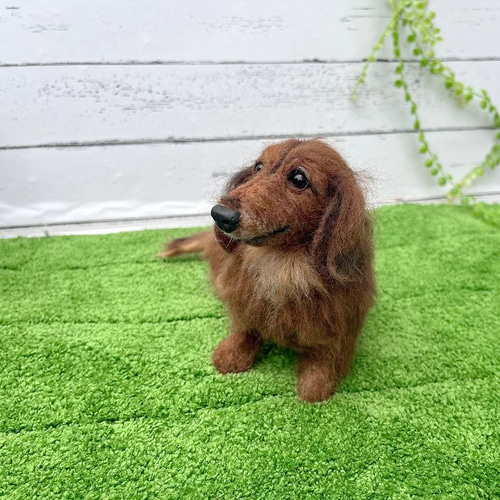 オーダー ダックス世界でたった一つ♡ダックスフンド♡再現 羊毛