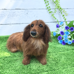 オーダー♡世界でたった一つ♡大切な家族をずっとそばに♡ダックス