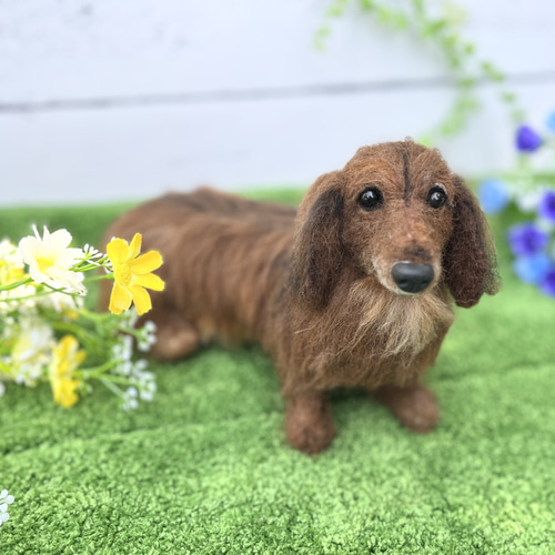 羊毛フェルト ダックス panda 楽天市場】羊毛フェルトキット