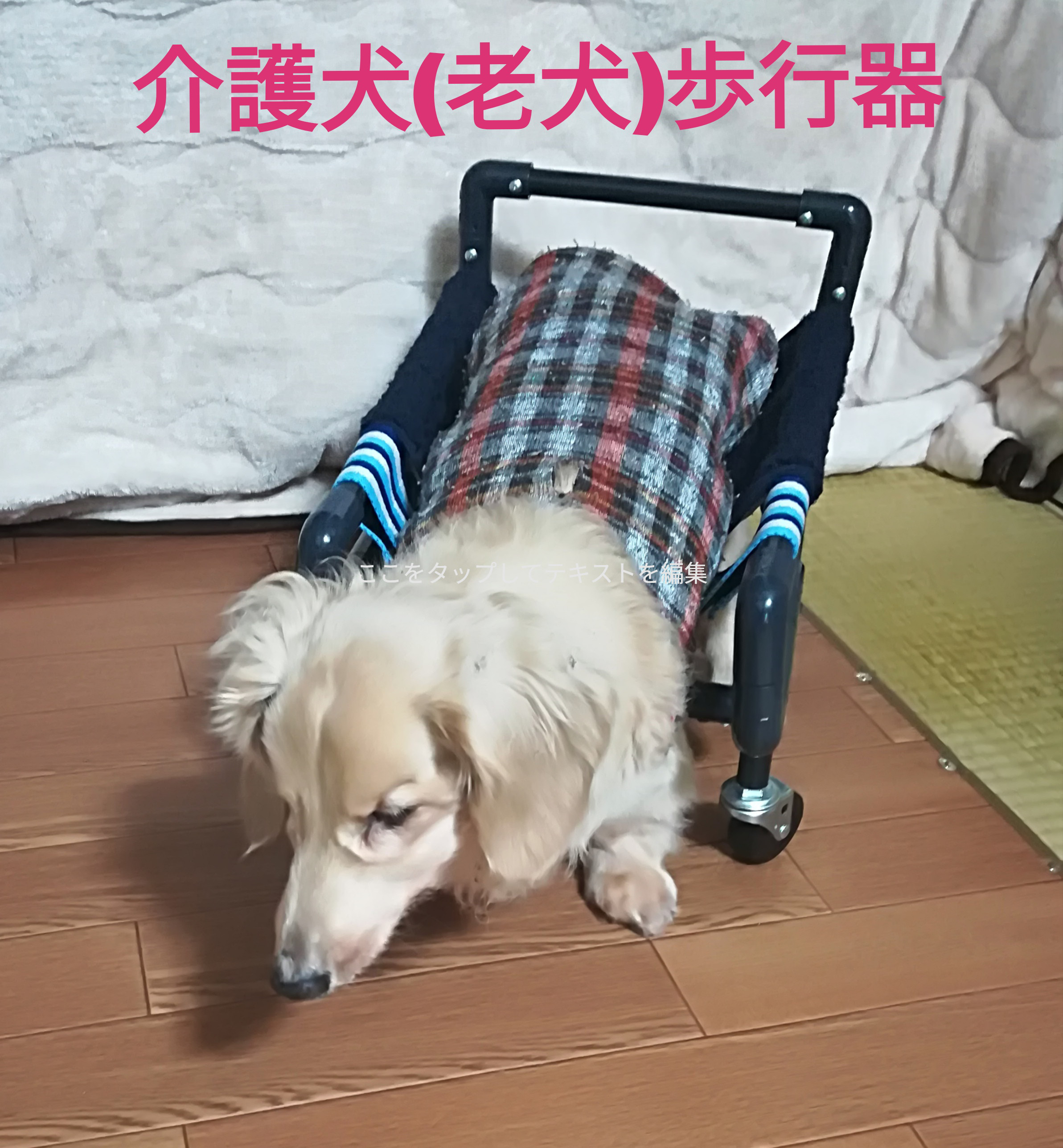 テリア4輪 リハビリ 食事補助 犬用車椅子 介護用 犬の歩行器 ヘルス