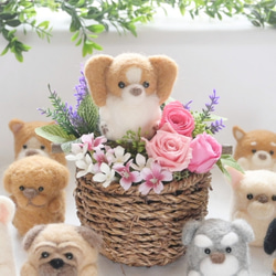 パピヨン】プリザーブドフラワー 羊毛フェルト 犬 花 ペット 母の日