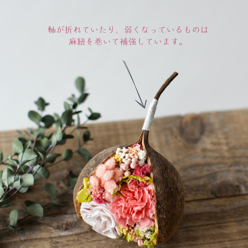 母の日に贈るウォッシュホワイトのブッダナッツ / しあわせの実 春色