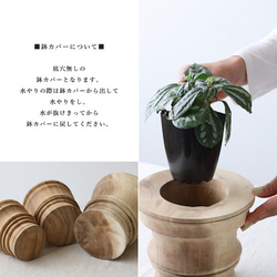 ＊ラスト１　しつらえＳＡＬＥ　Mサイズ　天然無垢ウッド　木彫り　プランター　鉢カバー　植木鉢　観葉植物　店舗什器W16M 10枚目の画像