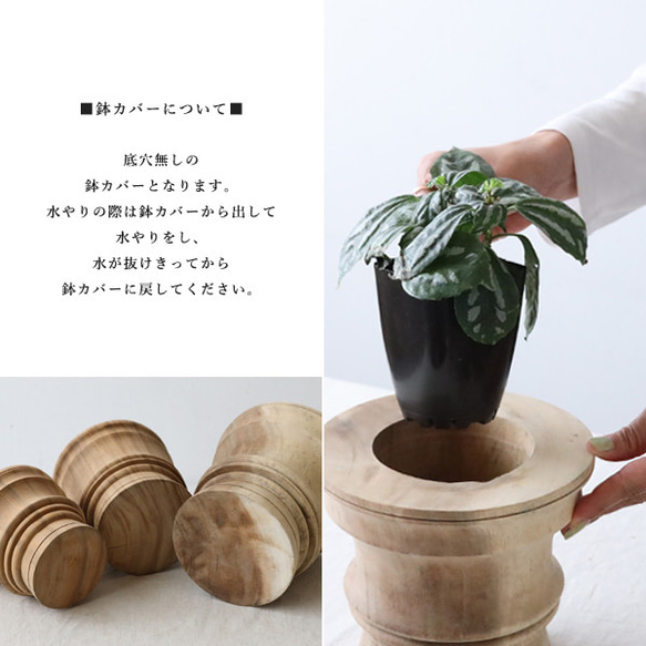 しつらえＳＡＬＥ　Mサイズ　天然無垢ウッド　手彫り木彫りプランター　鉢カバー植木鉢　観葉植物　ウッドターニングW20M 9枚目の画像