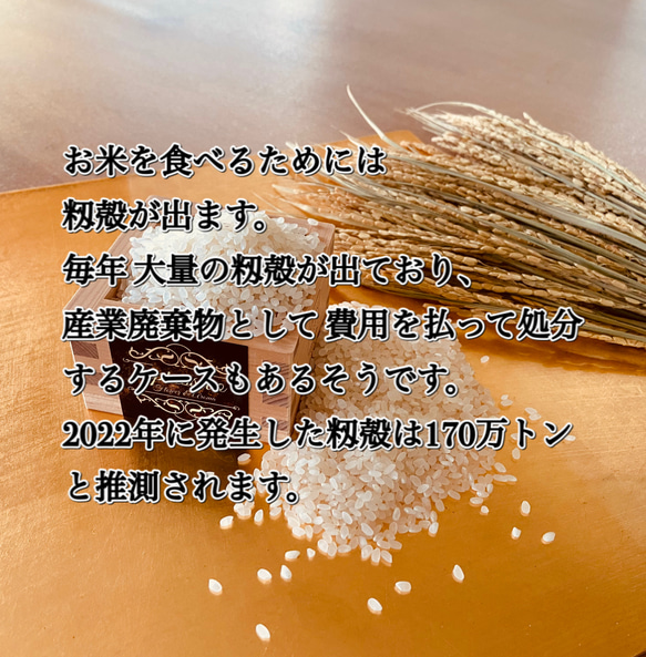 受賞商品 炭消臭99％！　お部屋の空気をきれいに　チャコール デオドライザー ボタニカル 7枚目の画像