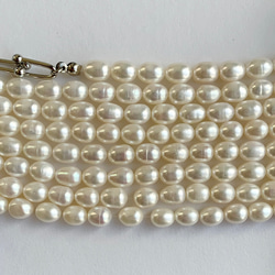 再販necklace: 淡水パール&リンクチェーン　silver  アレルギー対応 17枚目の画像