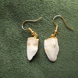 鹿の角 左右対称品 その他インテリア雑貨 手作り君 通販 16513736