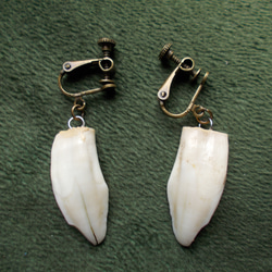 ハクビシン」の皮を鞣しました。（値下げ） その他素材 手作り君 通販