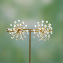 ✨たんぽぽの綿毛✨　イヤリング価格となっております 94c3ddea7f15c6647021a687ef7f39