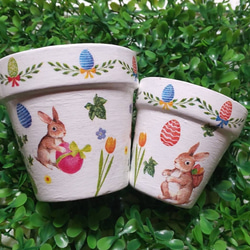 送料無料♡2個セット♡リメイク鉢♡ガーデン雑貨♡多肉植物鉢