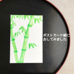 笹竹（七夕）の節句に水墨画のような竹のはんこセット（７月の消しゴムはんこ） 9枚目の画像
