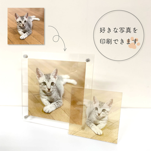 ♡福ぷく♡ペット＊アクリル表札【ホワイトリッチストーン】＊UV印刷 ♡福ぷく♡ペット様専用＊アクリル表札【ホワイトリッチストーン