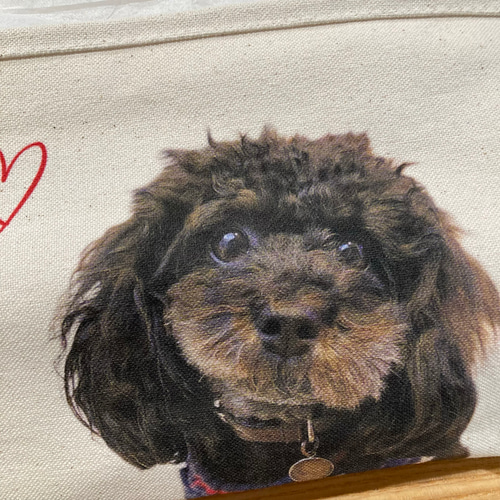 うちの子ティッシュケース オーダーメイド おもちゃ・ペット小物