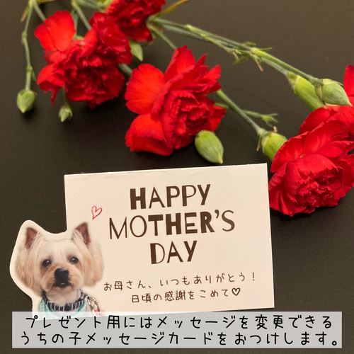 うちの子ティッシュケース オーダーメイド おもちゃ・ペット小物