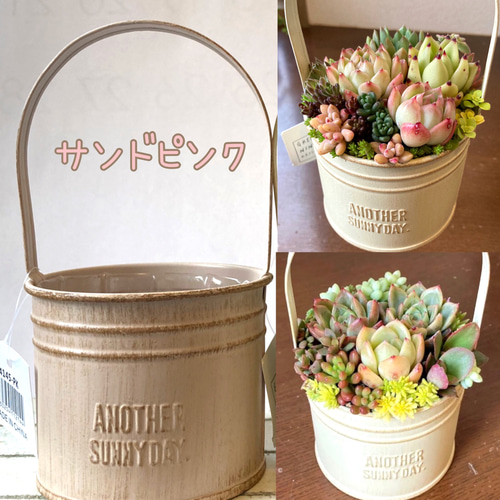 母の日ギフト 可愛い寄せ植え 多肉植物寄せ植え ブリキポット サンド