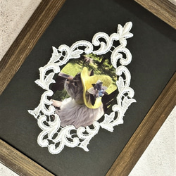 再販】2枚入 ◇ 額縁モチーフレース ◇ ダマスク柄 ◇ 日本製 ◇ M