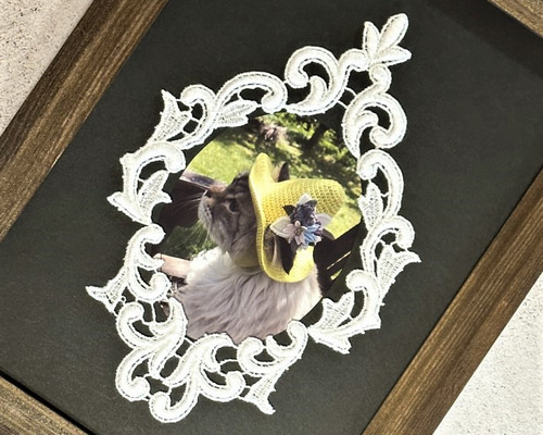 再販】2枚入 ◇ 額縁モチーフレース ◇ ダマスク柄 ◇ 日本製 ◇ M