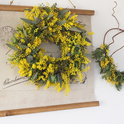 ミモザのリース Lサイズ ドライフラワー petit chocolat 通販 15723456