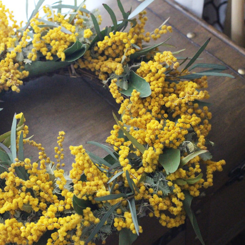 ミモザのリース Lサイズ ドライフラワー petit chocolat 通販 15723456