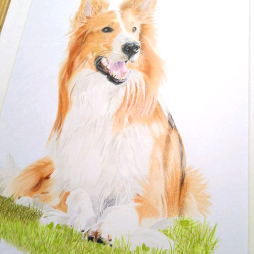 リアル色鉛筆画【原画】NO.2 犬の絵 絵画 鳳雛色鉛筆画家 通販 リアル色鉛筆画【原画】NO.2 犬の絵 絵画 鳳雛色鉛筆画家 通販