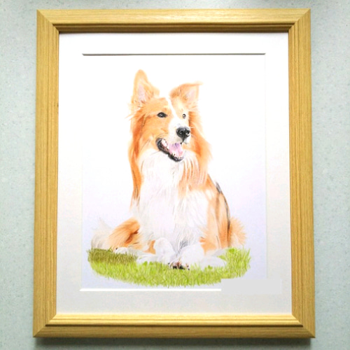 リアル色鉛筆画【原画】NO.2 犬の絵 絵画 鳳雛色鉛筆画家 通販 リアル色鉛筆画【原画】NO.2 犬の絵 絵画 鳳雛色鉛筆画家 通販