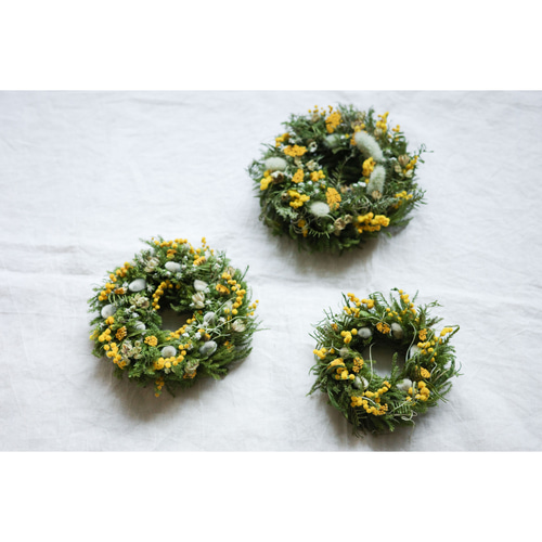 ミモザとグリーン 麗らかな春のドライリース 直径14cm ドライフラワー