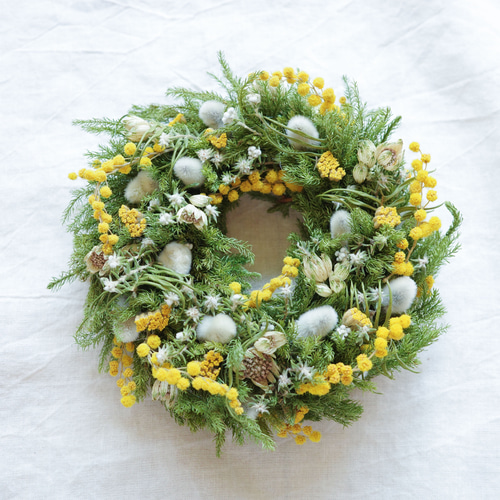ミモザとグリーン 麗らかな春のドライリース 直径14cm ドライフラワー