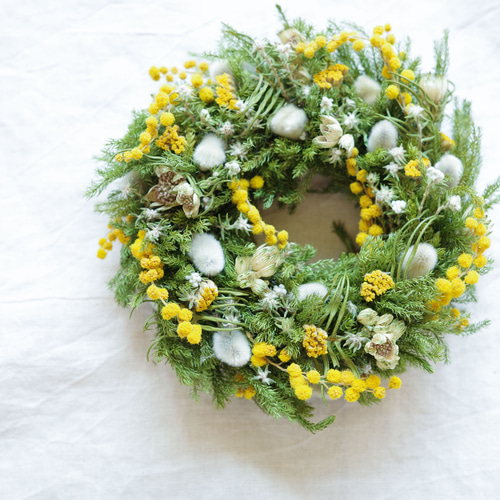 ミモザとグリーン 麗らかな春のドライリース 直径14cm ドライフラワー