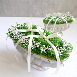 苔moss＆かすみ草babybreath のリングピロー【Ｌsize】陶器・Box入り 4枚目の画像