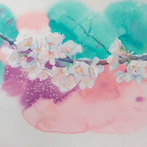 桜_水彩原画_イラスト 絵画 n.akabae 通販 15724225|Creema 桜_水彩原画_イラスト 絵画 n.akabae 通販 15724225|Creema