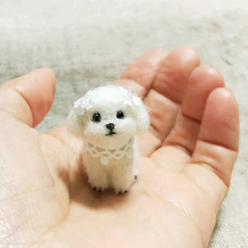 受注制作 羊毛ミニチュアわんこ(マルチーズ)ドールハウス 受注制作 羊毛ミニチュアわんこ(マルチーズ)ドールハウス