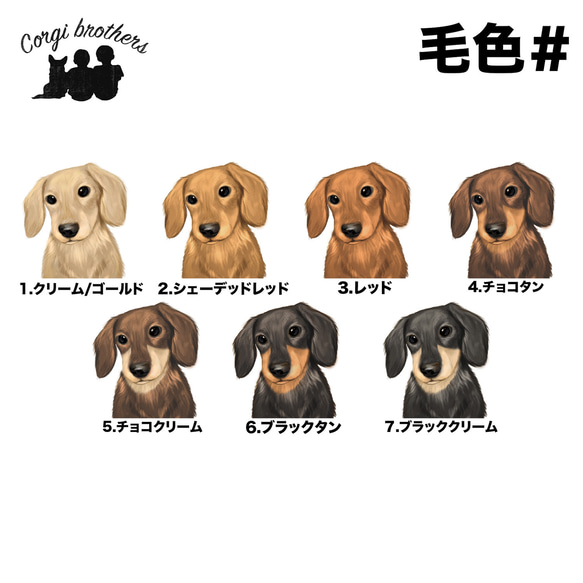 【 ダックスフンド 水彩画風 毛色7色 】 キャンバス トートバッグ　犬　ペット　うちの子　プレゼント　母の日 4枚目の画像