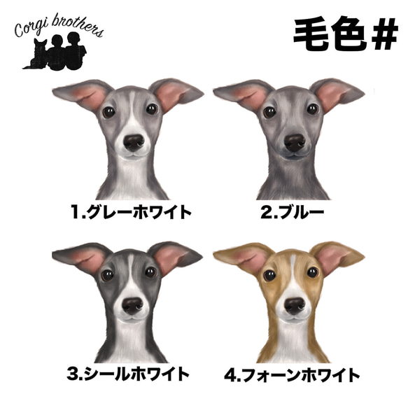 【 イタリアングレーハウンド 水彩画風 毛色4色 】キャンバス トートバッグ　犬　ペット　うちの子　プレゼント　母の日 4枚目の画像