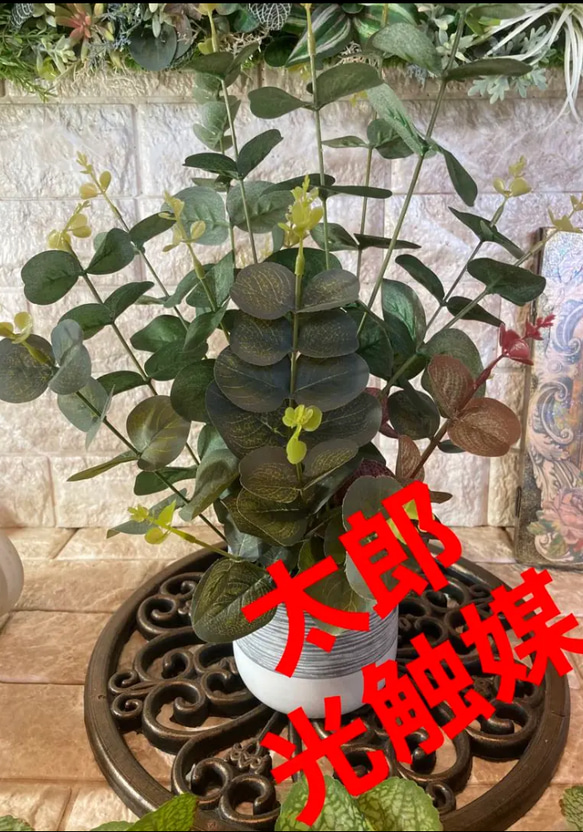 光触媒 人工観葉植物 ウォールグリーン フェイクグリーン ユーカリ3色