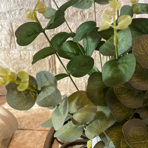 光触媒　人工観葉植物　ウォールグリーン　フェイクグリーン　バロックとユーカリ専用 光触媒 人工観葉植物 ウォールグリーン フェイクグリーン