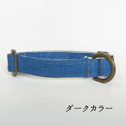 狗狗用 [Upcycle Denim] 中號狗棉項圈可選丟失標籤狗項圈寬度 2 厘米 第7張的照片