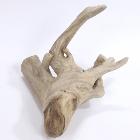 【温泉流木】足をかかえるような姿がほほえましい根流木 流木素材 インテリア素材 オブジェ レイアウト 4枚目の画像