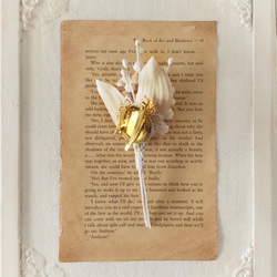 染め花のスズランのコサージュ(アンティークホワイト) 5枚目の画像