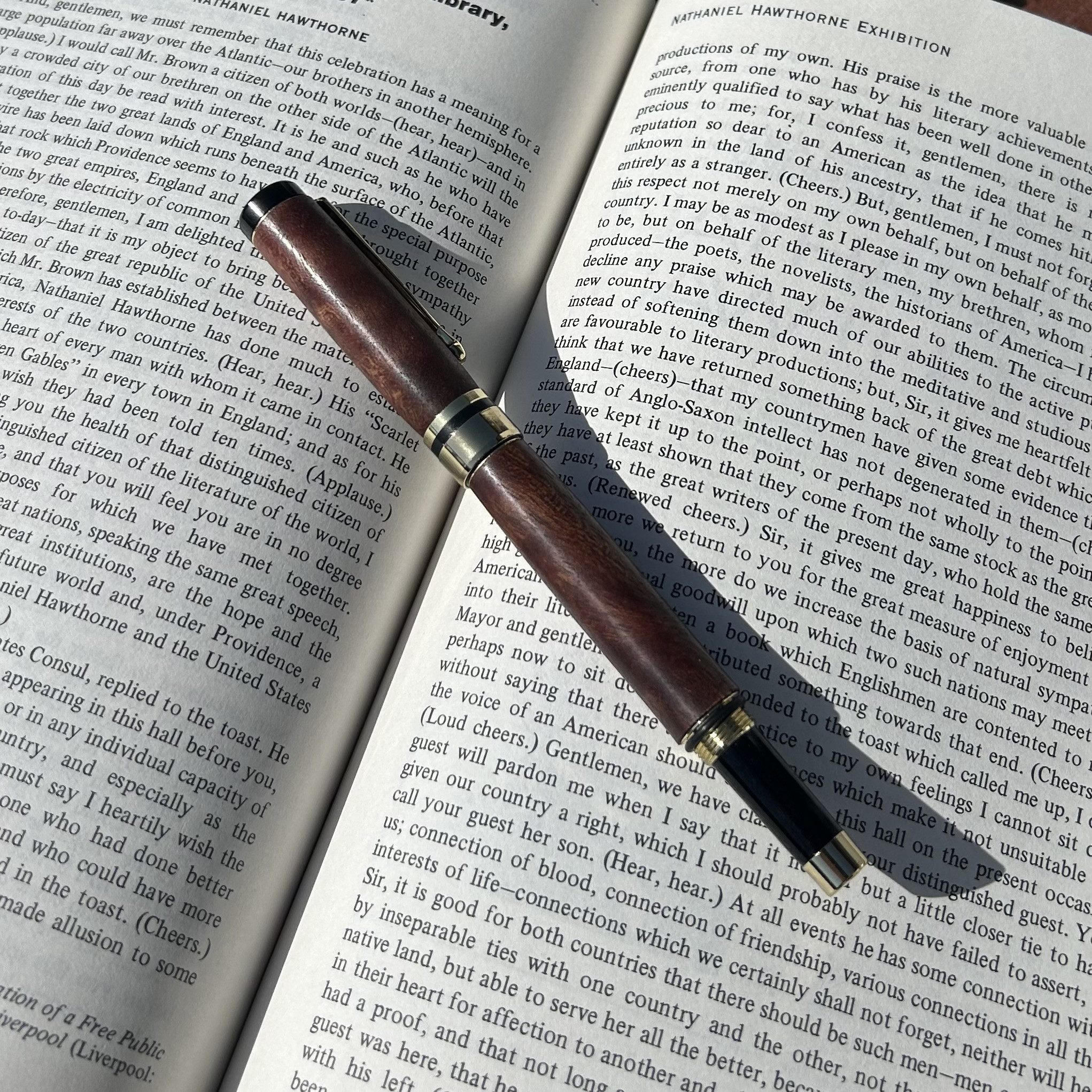 【世界に1本だけ】赤楠のボールペン　c1021