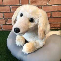 a様愛犬ちゃんオーダーメイド品(ミニチュアダックスフンド)縫いぐるみ