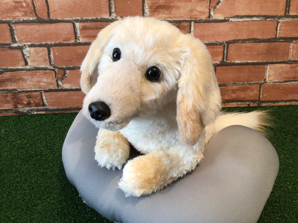 □Aslさま専用愛犬ちゃんミニチュアオーダー確認用ページ□ハンドメイド a様愛犬ちゃんオーダーメイド品(ミニチュアダックスフンド)縫いぐるみ