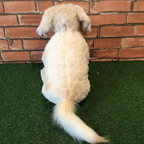 a様愛犬ちゃんオーダーメイド品(ミニチュアダックスフンド)縫いぐるみ