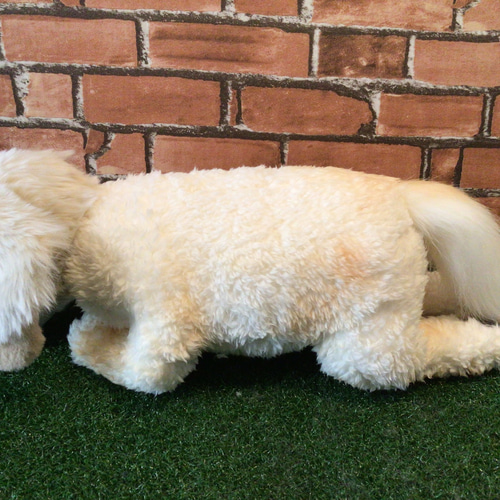 a様愛犬ちゃんオーダーメイド品(ミニチュアダックスフンド)縫いぐるみ