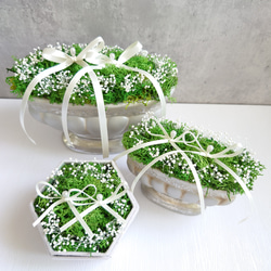 苔moss＆かすみ草babybreath のリングピロー【Msize】陶器・Box入り 8枚目の画像