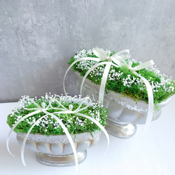 苔moss＆かすみ草babybreath のリングピロー【Msize】陶器・Box入り 7枚目の画像